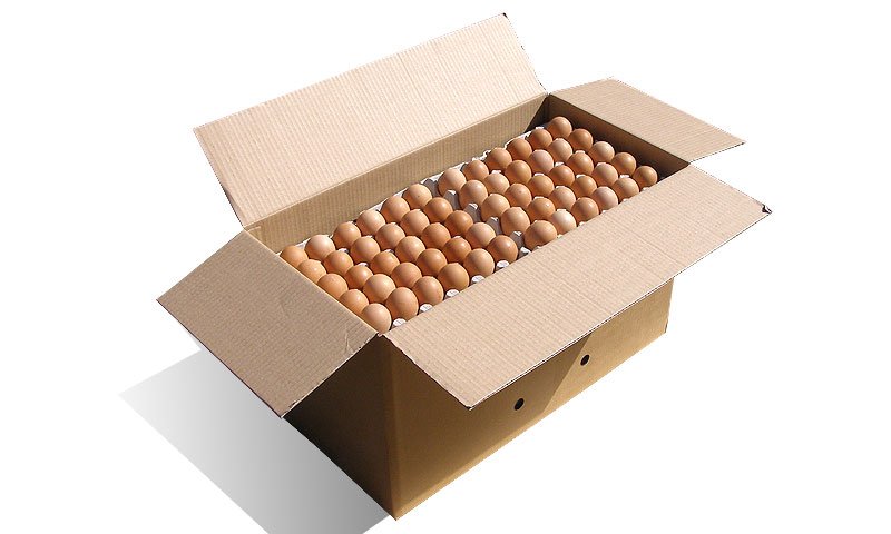 Closed flap box for eggs, wave B