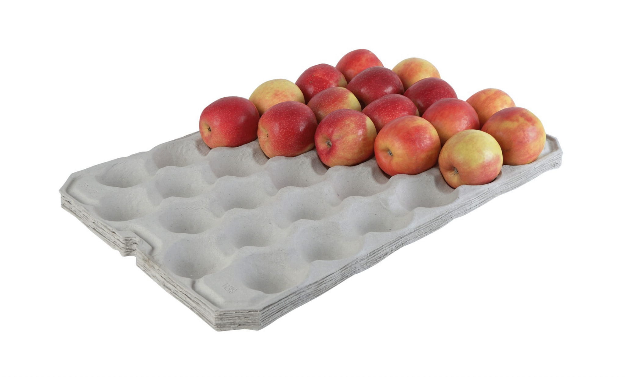 Fruit Tray SMART 32